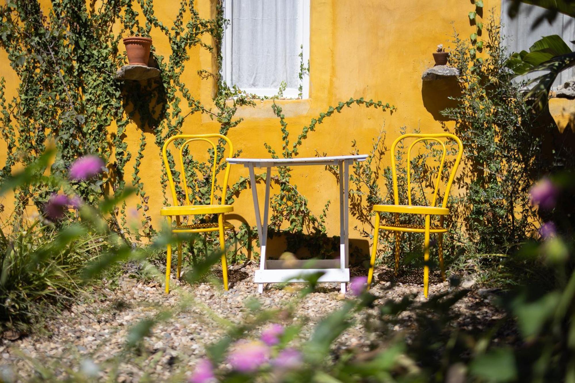 Alma Do Paco Bed and Breakfast Santo Isidoro Exteriör bild