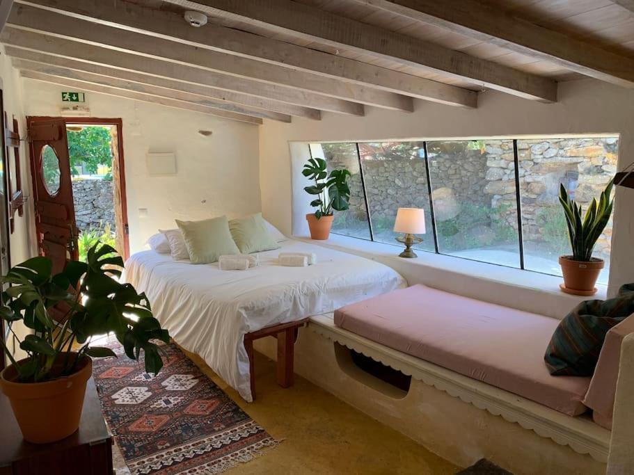 Alma Do Paco Bed and Breakfast Santo Isidoro Exteriör bild